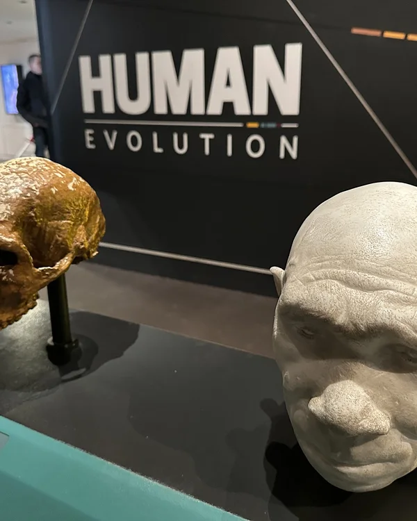Meteorites Collection — Natural History Museum