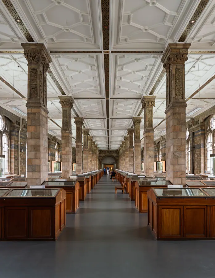 Minerals Gallery — Natural History Museum