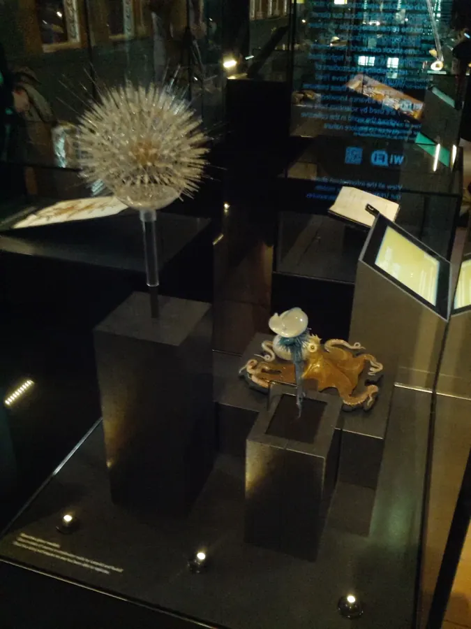 Treasures Gallery — Natural History Museum